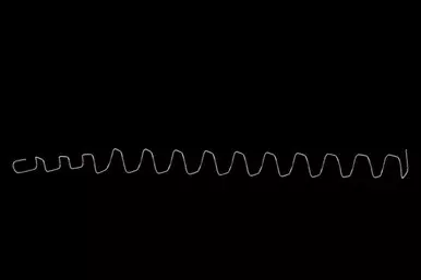 13 Coil Magazine Spring