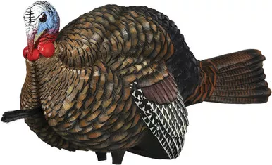 Avian X LCD Half-Strut Jake Turkey Standing Decoy Carry Bag & Stake USED