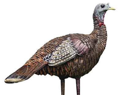 Avian-X LCD Lookout Hen Turkey Decoy