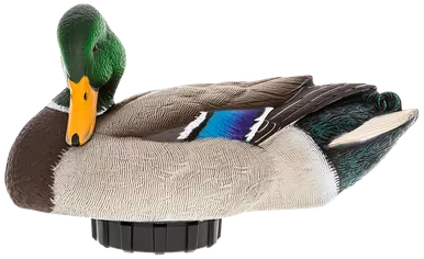 Avian-X Power Shaker Mallard Drake Preener Decoy