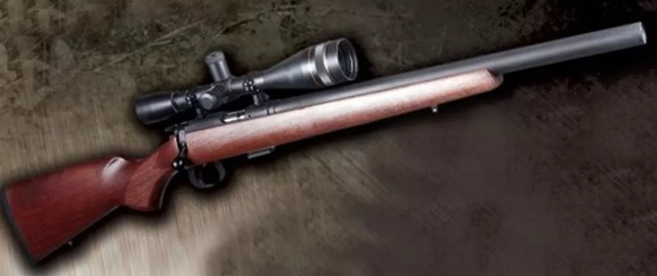 AWC Ruger 10/22 Blued with Ulta 13 Removable Core Suppressork with Hardwood Stock