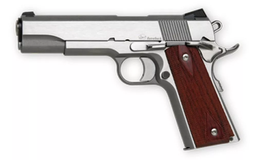 CZ-USA 01907 Dan Wesson RZ-10 9+1 10mm 5″
