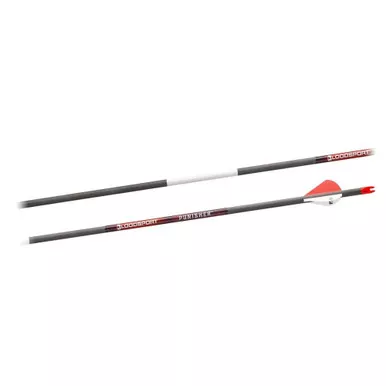 Gsm Bloodsport Punisher Arrow 31 Inch 400 Spine 6 Pack