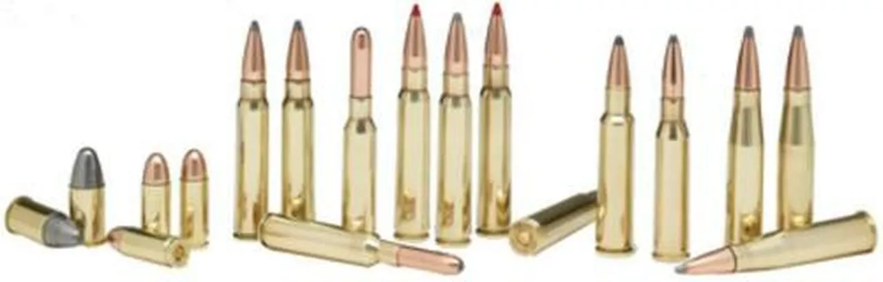 Hornady .303 British 174gr, Boattail Hollow Point 20 Per Box
