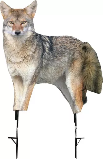 Montana Decoy Song Dog Coyote Predator Decoy