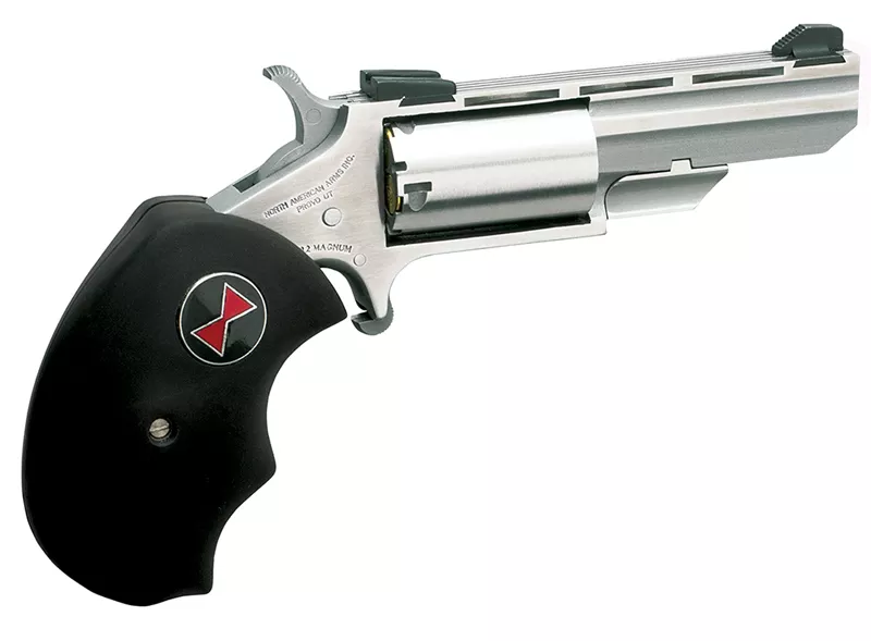 NAA Black Widow Combo 22LR/22 Mag Revolver