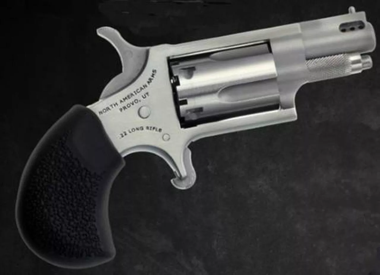North American Arms Mini 22lr Rev 1-1/8 Ss Ported
