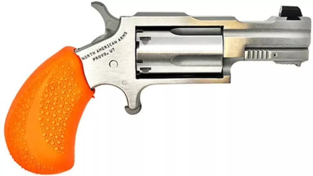 North American Arms NAA BUG OUT BOX 22LR 1-1/8″ SS Barrel Orange Grip, Waterproof Box