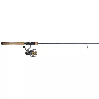 President Fenwick Eagle Rod and Reel Spinning Combo