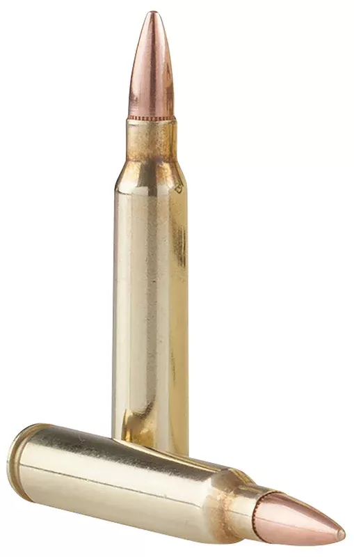 TR&Z Range Master 5.56x45mm NATO 55 gr Full Metal Jacket Boat Tail – PPRM5561P